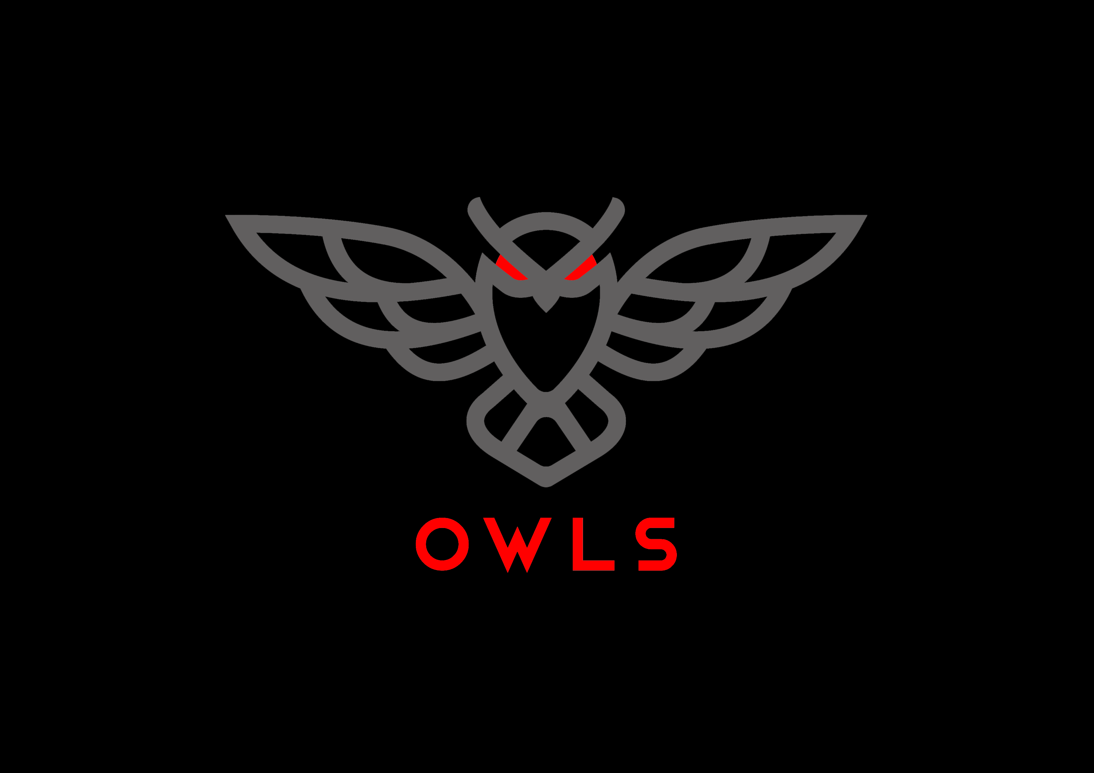 Owls Capital